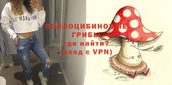 первитин Алексин