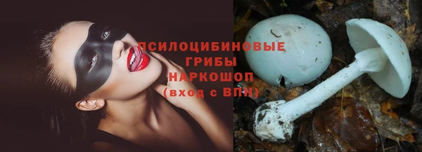 гидра Алзамай