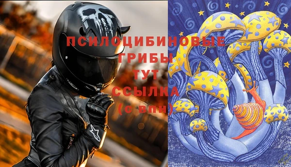 первитин Алексин